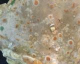 A picture of step 8 of Stuffed Egg Parathas.