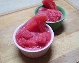 Foto langkah ke 5 dari resep 325. Watermelon Sorbet.