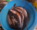 Foto langkah ke 1 dari resep Ikan masak Tjintjoan resep bitja 1864.