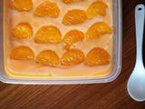 Puding Buah