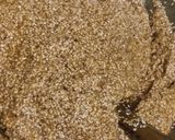 गुड़ तिल की चिक्की (gud til ki chikki recipe in hindi) रेसिपी चरण 3 फोटो