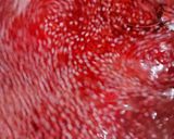 A picture of step 3 of Doodh sharbat.