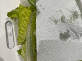 Creamy Salad