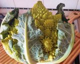A picture of step 1 of Romanesco Broccoli Bake with Béchamel Sauce.