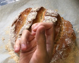 Foto del paso 8 de la receta: Pan de cerveza con panificadora Cecotec 1500