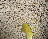A picture of step 1 of Navy Beans 2024.