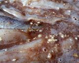 Foto del paso 5 de la receta: Pescado Frito sin harina...con ajo y canela 😋😋😋