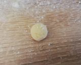 Húsos gnocchi recept fázis 4 fotója