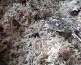 தேங்காய் சாதம் (Coconut rice recipe in tamil) ரெசிபி ஸ்டேப் 3 புகைப்படம்