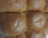 A picture of step 5 of Pav.
