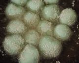 Foto langkah ke 5 dari resep Onde Onde Pandan isi Coklat.