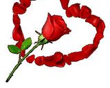 صورة لخطوة 5 من وصفة كرات تمر عجوة 🌹🌹