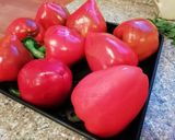 Foto del paso 1 de la receta: Pimentones Asados