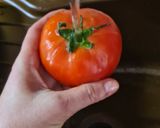 Foto del paso 8 de la receta 50. Pisto de verduras