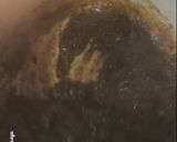 Foto langkah ke 2 dari resep 114. Roasted Milk Tea.