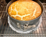 Foto del paso 9 de la receta: Pastel de requesón
