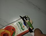 عکس مرحله 3 از دستور بستنی آبمیوه