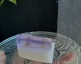 Foto langkah ke 11 dari resep Puding Anggur.