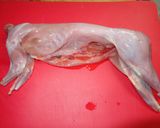 A picture of step 1 of Rabbit escabeche.