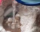 Foto del paso 1 de la receta: Cuernitos integrales con mix de semillas🌾