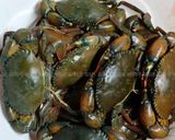 चिंबोरी रस्सा (crab gravy recipe in marathi) रेसिपी स्टेप 1 फोटो