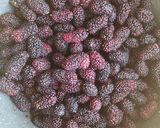 عکس مرحله 1 از دستور مارمالاد توت سیاه خانگی