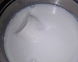 Foto del paso 3 de la receta: Yogur casero con leche de coco