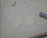 Foto del paso 1 de la receta: Sandwichs de miga diferentes