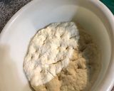 Foto del paso 1 de la receta: Pizza casera