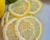 Foto del paso 1 de la receta: Cubitos de hielo con tónica y cítricos