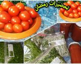 صورة لخطوة 4 من وصفة الطماطم المصبرة والاحتفاظ بالكزبرة والبقدونس