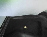 Foto del paso 10 de la receta: 🌯Empanada de morcilla🌭 y pera🍐 con masa casera