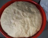 Foto del paso 4 de la receta: Pan dulce navideño FÁCIL