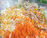 Foto del paso 2 de la receta: Lasaña fría