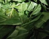Foto del paso 1 de la receta: Dorada al pesto (en el lekue)