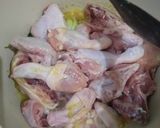 Foto langkah ke 3 dari resep Opor ayam.