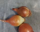عکس مرحله 1 از دستور خورشت محلی طالقان (مَرجی خورش)