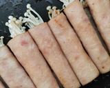 Gambar langkah 4 resipi Enoki Rolls.