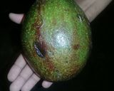 A picture of step 1 of Avocado smooth.