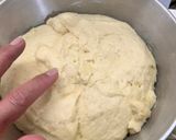 Foto del paso 6 de la receta: Pan dulce húmedo y fácil - Con amasadora…o a mano 🎄
