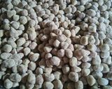 Foto langkah ke 4 dari resep Kacang telur (tepung ketan).