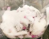 Hình bước làm 1 của món Enzyme Hoa Quả