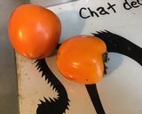 Une image de l'étape 1 de Salade de fruits exotiques au jus d orange.