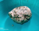 A picture of step 2 of Methi paratha.