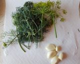 Kovászos uborka recept fázis 2 fotója
