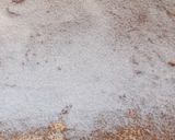 Kakaós csiga recept fázis 6 fotója