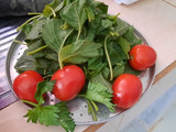 Sayur Bayam