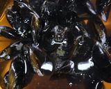 A picture of step 1 of Mussels in white wine sauce.