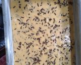 Foto del paso 4 de la receta: Torta de zanahoria y chispas de chocolate