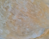 Foto del paso 3 de la receta: Arrolladitos primavera 🥢